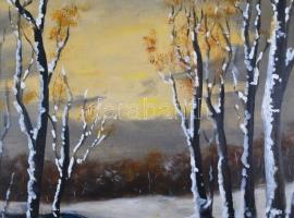 Bártfay Elly (1917-1995): Téli táj, olaj, farost, jelzett és datált (1991). 50x66 cm