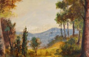 Bártfay Elly (1917-1995): Hegyvidékii táj, olaj, farost, jelzett, hátoldalán a művész címkéjével. 50...