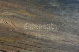 Olvashatatlan jelzéssel: Vitorlások, olaj, farost. 34,5x49 cm