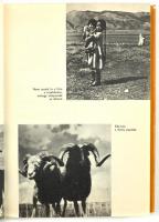 Molnár Gábor: Egymillió hős országa. Aranghaj őserdőitől a Góbi-sivatagig. (Az 1964-es mongóliai uta...