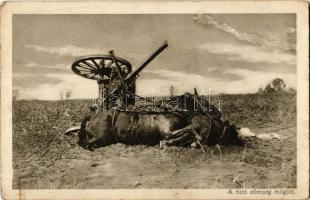 A futó ellenség mögött. Az Érdekes Újság kiadása / WWI Austro-Hungarian K.u.K. military, injured horse (EK)