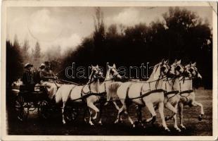 1936 Bábolna, M. kir. állami ménes, Arab ötösfogat hajtotta Pettkó Szandtner Tibor. Foto Waltner Berta (EK)