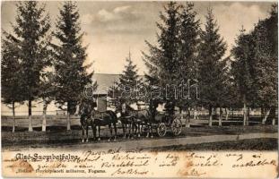 1904 Alsószombatfalva, Alsó-Szombatfalva, Sambata de Jos; Brukenthal-kastély lovaskocsival. Helios fényképészeti műterem kiadása / castle, horse-drawn carriage (fl)