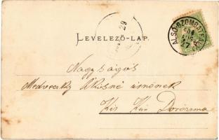 1904 Alsószombatfalva, Alsó-Szombatfalva, Sambata de Jos; Brukenthal-kastély lovaskocsival. "He...