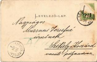 1904 Alsószombatfalva, Alsó-Szombatfalva, Sambata de Jos; Brukenthal-kastély lovaskocsival. "He...