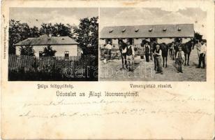 1907 Alag, Dunakeszi-Alag; Alagi lóversenytér, pályafelügyelőség, versenyistálló részlete lovakkal. Hadl Fülöp kiadása + WIEN - POZSONY - BUDAPEST 2 B vasúti mozgóposta bélyegző (EK)