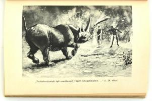 Róna István: Híres vadászkalandok. Bp., 1960., Gondolat. Kiadói félvászon-kötés, kissé kopott, kissé...