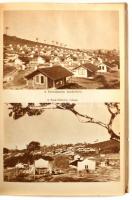 Molnár Gábor: Kalandok a brazíliai őserdőben. Vadász- és gyűjtőúton Észak-Brazília ősvadonjában. Bp....