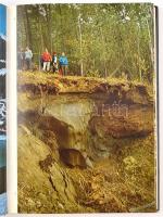 Gáboriné Csánk Vera: Az ősember Magyarországon. Bp., 1980, Gondolat. Kiadói egészvászon-kötésben, ki...