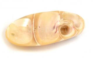Gyöngyházas csiszolt kagyló medál, 4,5×2,5 cm