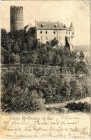 1902 Hroznatov, Kinsberg (Cheb, Eger); Schloss Alt-Kinsberg bei Eger. Schloss Stary Hroznatov / castle. Verlag Josef Zimmermann 2170. (fl)