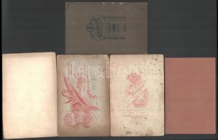 cca 1900 5 db keményhátú portréfotó és tájkép, némelyiken sérülés, 17×10,5 cm