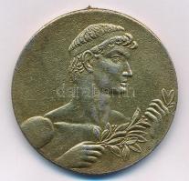 1952. "KÖZOKTATÁSÜGYI MINISZTÉRIUM I. GYŰRŰ 1952" bronzozott fém díjérem (40mm) T:2,2- fny