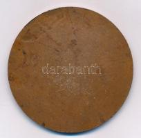 1948. "MAGYAR ÖTTUSA SZÖVETSÉG 1948" Br sportérem (60mm) T:2 fo