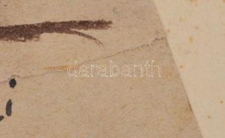 Szilágyi Ilona (1904-1985): Joli. Vegyes technika, papír, vékony kartonra kasírozva, szakadással, je...