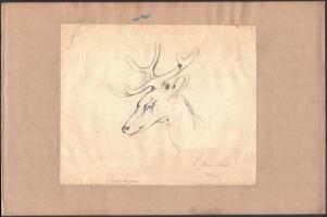 Anna Török 1846 jelzéssel: Szarvas, grafit, papír, foltos, papírra kasírozva, 21x25,5 cm