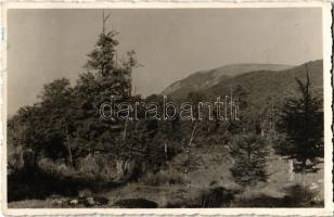 1943 Felsőbánya, Baia Sprie; kilátás a Rozsályra / Varful Ignis / view of the mountain peak (EK)