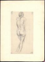 Szilágyi Jolán, Szamuely Tiborné (1895-1971): Női hátakt. Ceruza, papír, vékony kartonra kasírozva, jelzett, 28×14,5 cm