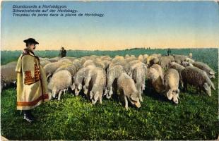 1915 Hortobágy, disznócsorda, magyar folklór (EK)