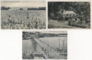 50 db RÉGI külföldi városképes lap: Bermuda / 50 pre-1950 overseas town-view postcards: Bermuda