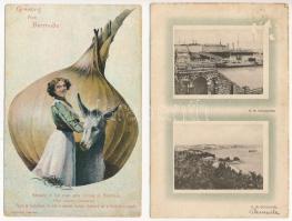 50 db RÉGI külföldi városképes lap: Bermuda / 50 pre-1950 overseas town-view postcards: Bermuda