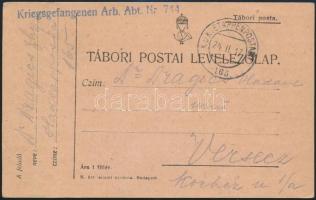 1917 Tábori posta levelezőlap / Field postcard &quot;Kriegsgefangenen Arb. Abt. Nr. 744&quot; + &quot;EP 165&quot;