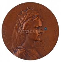 Ifj. Vastagh György (1868-1946) 1911. "Erzsébet királyné - Magyarország védő angyala / Drezdai Egészségügyi Világkiállítás - A Magyar Állam Pavillonja" Br emlékérem (71,52g/60mm) T:1- kis patina / Hungary 1911. "Queen Elisabeth - Protector angel of Hungary / International Hygiene Exhibition in Dresden" commemorative Br medallion. Sign: György Vastagh (71,52g/60mm) C:AU small patina HP 6364.