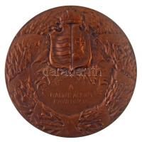 Ifj. Vastagh György (1868-1946) 1911. "Erzsébet királyné - Magyarország védő angyala / Drezdai ...