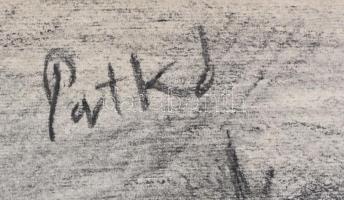 Patkó jelzéssel: hegyvidéki táj. Szén, papír, 31,5x44,5 cm