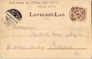 1899 Nagyenyed, Aiud; látkép, sétatéri síremlék. Grünfeld Dávid kiadása / general view, monument. Ar...