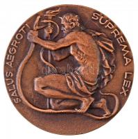 Reményi József (1887-1977) 1955. "Korányi Frigyes Emlékére - A Magyar TBC Orvosok / Salvus Aegr...