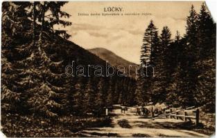 Lucski-fürdő, Lúcky Kúpele (Liptó);  Dolina medzi liptovskou a oravskou zupou / Liptói-völgy / valley (EM)