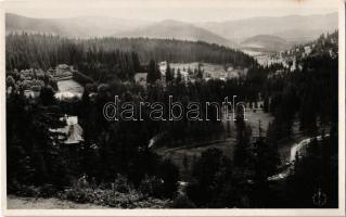 Borszék, Borsec; látkép, nyaralók / general view, villas