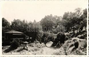 Kolozsvár, Cluj; Botanikus kert, kis fahíd / botanic garden, small wooden bridge