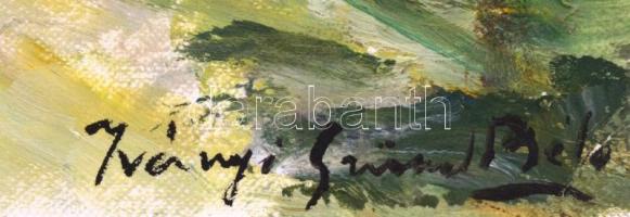 Iványi jelzéssel: Táj. Olaj, vékony karton, sérült (kis szakadással, sarkaiban gyűrődésekkel), 30x40...