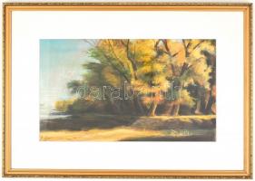 Olvashatatlan jelzéssel: Őszi Dunapart, 2004. Pasztell, papír, hátoldalán jelzett és ajándékozási so...