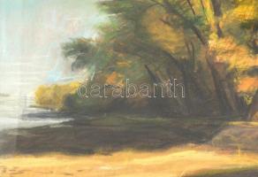 Olvashatatlan jelzéssel: Őszi Dunapart, 2004. Pasztell, papír, hátoldalán jelzett és ajándékozási so...