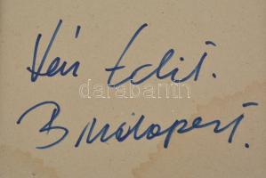 Vén Edit (1937-): Pár az idillben. Zománcfesték, kerámia, hátoldalán jelzett, keretben, 45×15 cm