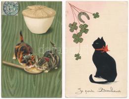 4 db RÉGI motívum képeslap: macska (kettő várossal és egy litho) / 4 pre-1945 motive postcards: cats (two with towns and one litho)
