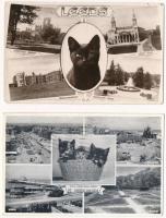 4 db RÉGI motívum képeslap: macska (kettő várossal és egy litho) / 4 pre-1945 motive postcards: cats...