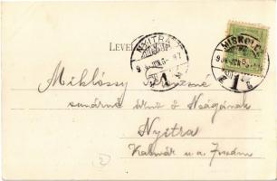 1904 Miskolc, Hámori-tó, evezős csónakok. Ferenczi B. kiadása