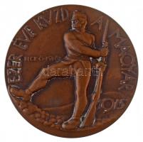 Beck Ö. Fülöp (1873-1945) 1915. "Ezer éve küzd a magyar" Br emlékérem. "EZER ÉVE KÜZD...