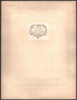 cca 1920-30 Székely Aladár (1870-1940) által aláírt, vintage női portré, fotó kartonra kasírozva, ap...