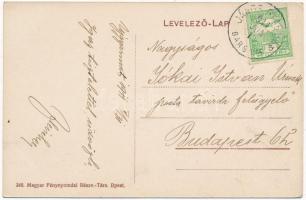 1911 Nyitrabánya, Handlová, Krickerhau; Fő utca, szálloda, fogyasztási szövetkezet üzlete / main str...