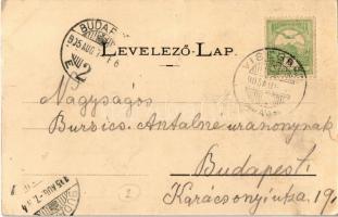 1905 Visegrád, Gizella-telepi fürdő- és üdülőhely, Erzsébet szálloda (EK)