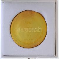 2010. "30. Úszó Európa Bajnokság" eozin mázas Zsolnay porcelán emlékplakett, eredeti tokba...