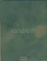 1932. "40 év sikereinek emlékére-Aschner Lipót" szögletes Br plakett. Judeika! Szign.Ludvi...