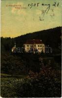 1908 Schwanberg, Schloss Limberg / castle (EK)