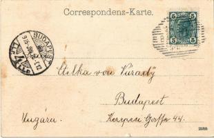 1905 Bad Hall, Trinkhalle / drinking hall, spa. F. E. Brandt 3033