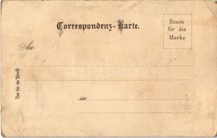 Salzburg, Elektrischer Aufzug / general view, castle, funicular railway, coat of arms. Art Nouveau, ...